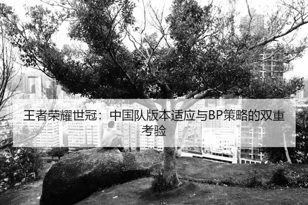 wang-zhe-rong-yao-shi-guan-zhong-guo-dui-ban-ben-shi-ying-yu-ce-lve-de-shuang-chong-kao-yan-2-669.jpg