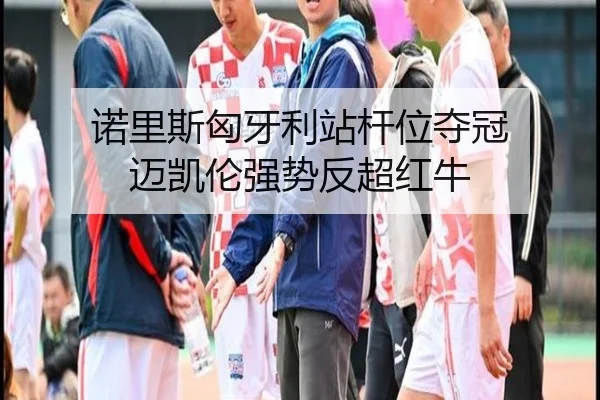 nuo-li-si-xiong-ya-li-zhan-gan-wei-duo-guan-mai-kai-lun-qiang-shi-fan-chao-hong-niu-3-372.jpg
