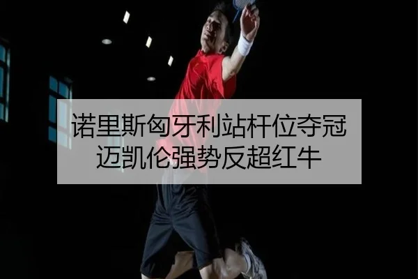 诺里斯匈牙利站杆位夺冠 迈凯伦强势反超红牛