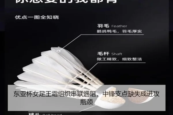 dong-ya-bei-nv-zu-wang-shuang-zu-zhi-chuan-lian-yu-zu-zhong-feng-zhi-dian-que-shi-cheng-jin-gong-ping-jing-2-818.jpg