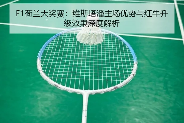 he-lan-da-jiang-sai-wei-si-ta-pan-zhu-chang-you-shi-yu-hong-niu-sheng-ji-xiao-guo-shen-du-jie-xi-3-551.jpg