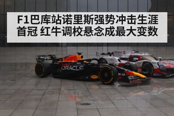 Red Bull F1 car